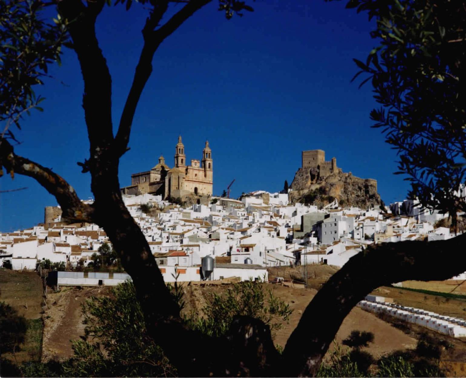 فندق Complejo Pueblo Blanco أولفيرا المظهر الخارجي الصورة